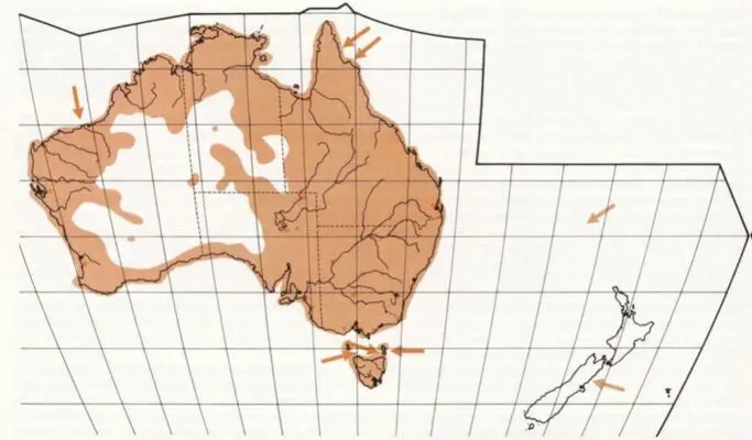 Australian Pelican hanzab map