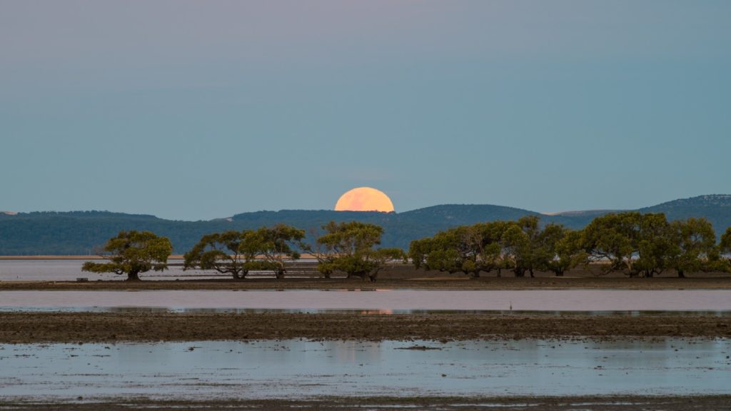 Sun setting over Toondah Harbour RAMSAR Wetland