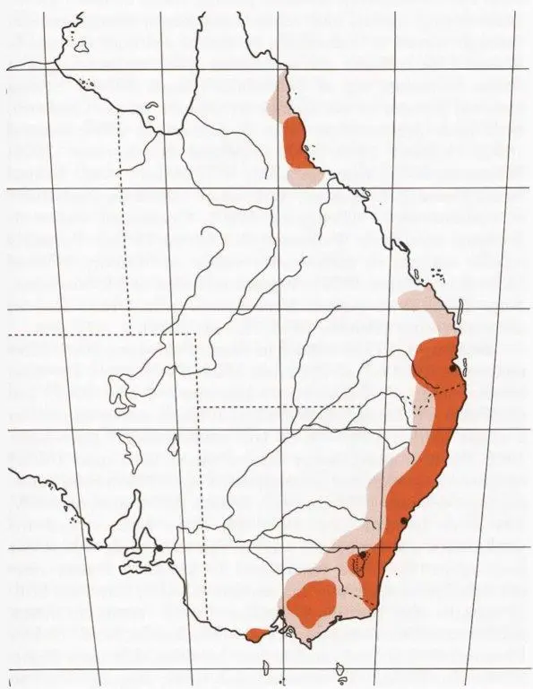 Satin Bowerbird HANZAB map