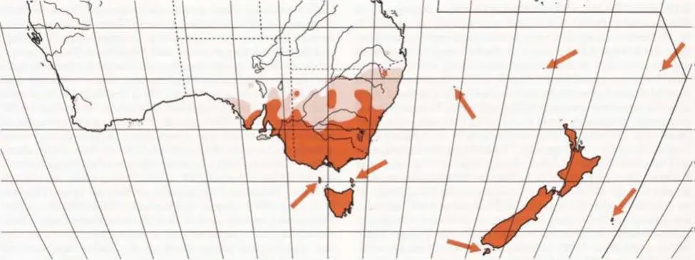 Common Blackbird Hanzab map