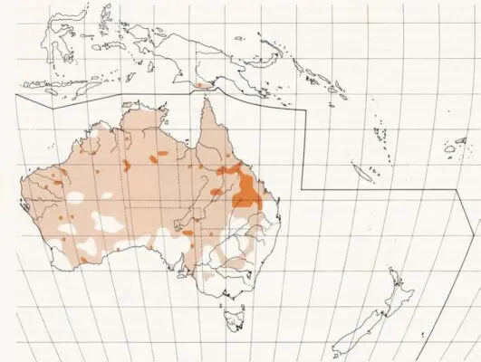 Australian Bustard HANZAB Map