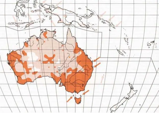 HANZAB map of Black-faced Cuckoo-shrike distribution