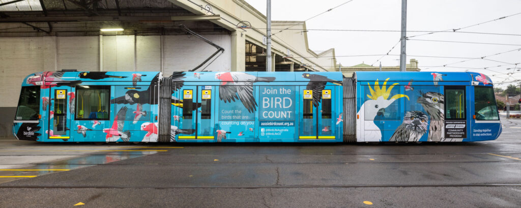 BirdLife Australia jumps on board with Yarra Trams and covers their iconic melbourne tram in native australian backyard birds.