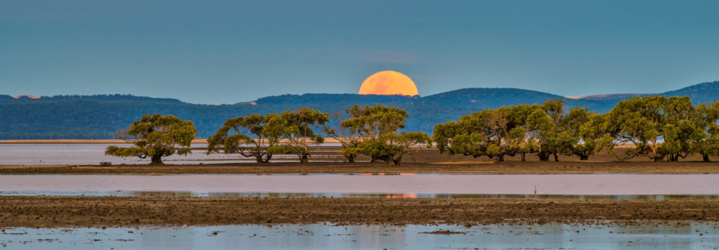 A thunder moon rises over the wetlands of Toondah Harbour