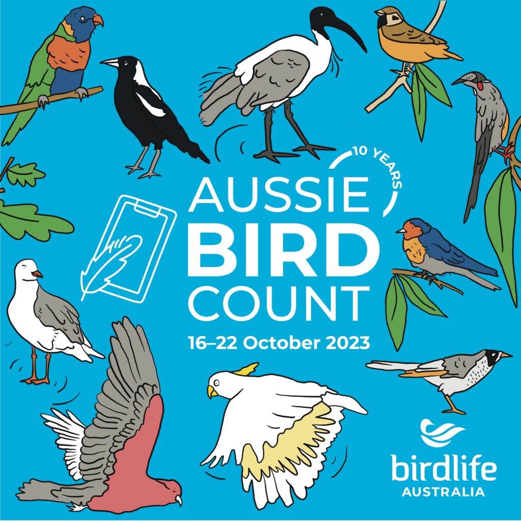 The BirdLife Australia and Aussie Bird Count logo against a blue background, surrounded by a number of cartoon illustrations of common backyard birds.