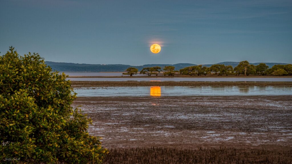 In the middle of the frame. a full moon rises over the mudflats and mangroves of Toondah Harbour against a dark sky. The moon's reflection is visible in the water below.