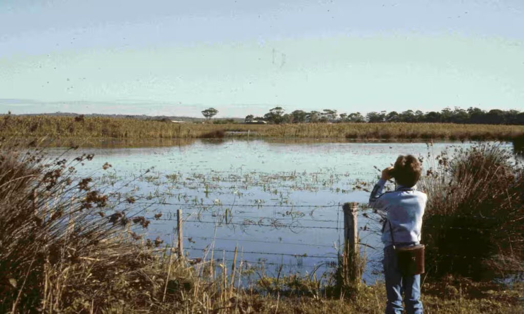 To the right of the frame, a boy looks through his binoculars at a swamp from behind a fence, his back turned to the camera. 
