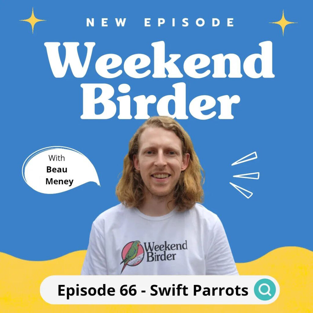In the centre of the frame is a cropped photo of Beau Meney, wearing a white Weekend Birder shirt, against a blue background and yellow footer banner. Above him is the words "NEW EPISODE Weekend Birder" in white, and to his left is a white speech bubble with black text that reads "with Beau Meney", and below him a white text box that reads "Episode 66 - Swift Parrots"