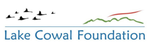 The Lake Cowal Foundation logo is a white rectangle. To the left of the design is a silhouetted flock of Black Swans of various sizes flying over a blue horizon line. To the right is the green outline of hills below a red stroke. At the bottom of the graphic, large blue text reads "Lake Cowal Foundation".