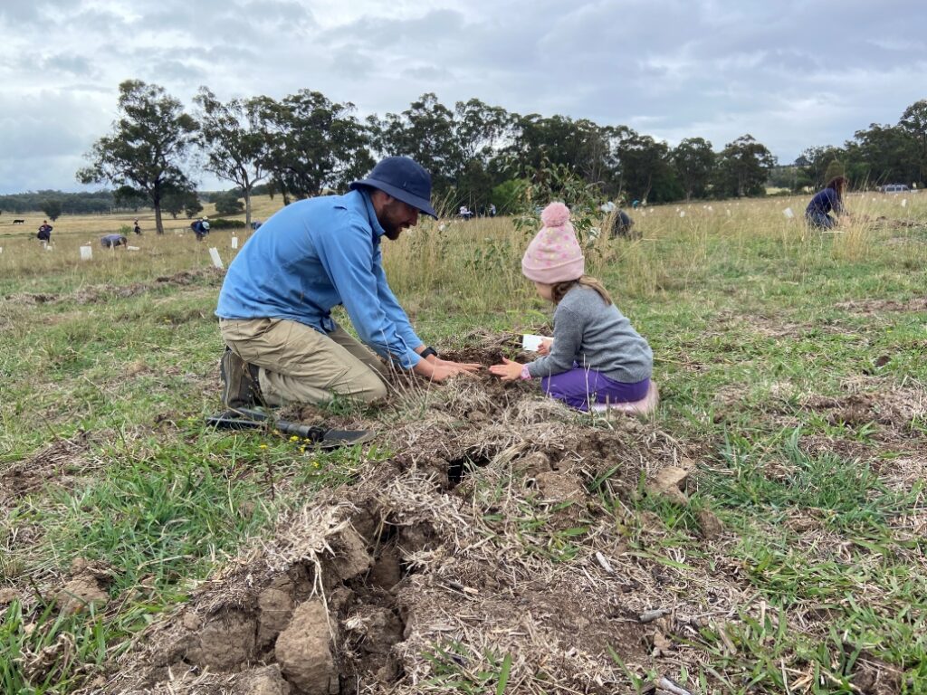 In the centre of the frame, a kneeling man in beige pants, a blue top and navy hat pats the soil beside a child, wearing purple pants, a green top and a pink beanie. They are both compacting the soil around a tree they have planted in the paddock.