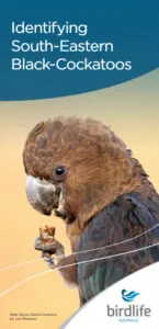 Identifying south-eastern black-cockatoos