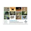 2025 Birdlife Australia Calendar backpage