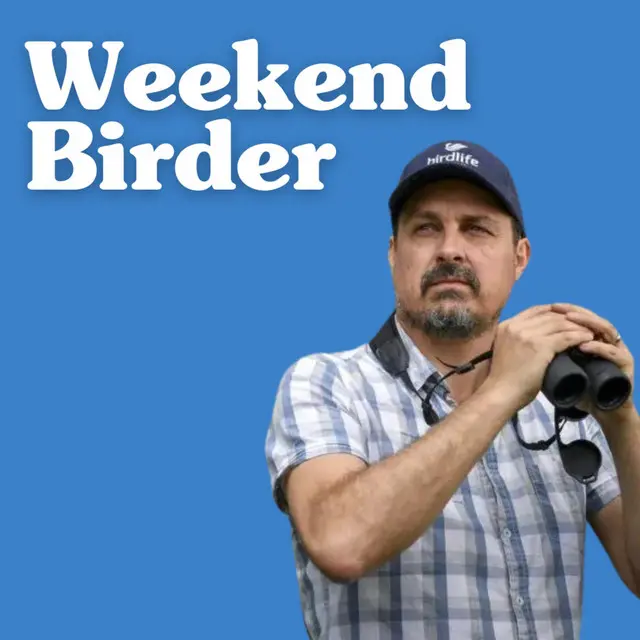 To the right of the frame, Sean Dooley is wearing a BirdLife Australia cap, a plaid shirt and raising a pair of binoculars against a bright blue background. The words 'Weekend Birder' are large and white in the top left of the frame. 