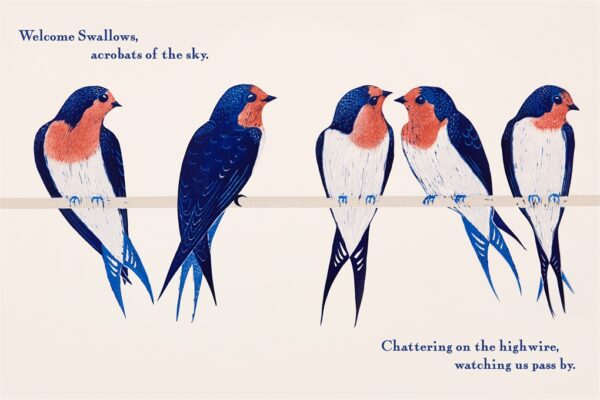 Kookaburra Kookaburra Children's Book - Image 3