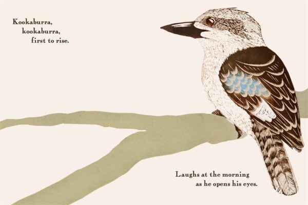 Kookaburra Kookaburra Children's Book
