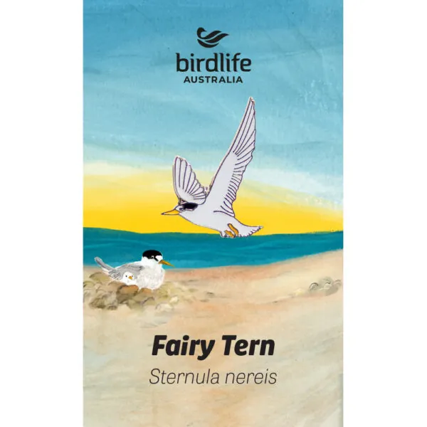 Fairy Tern Bird Pin