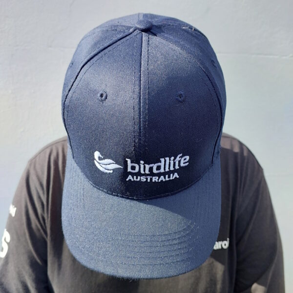 BirdLife Australia Branded Cap - Navy - Image 4