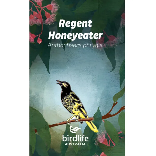 Regent Honeyeater Bird Pin