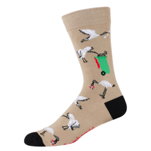 Ibis/Bin Chicken Socks - Men's