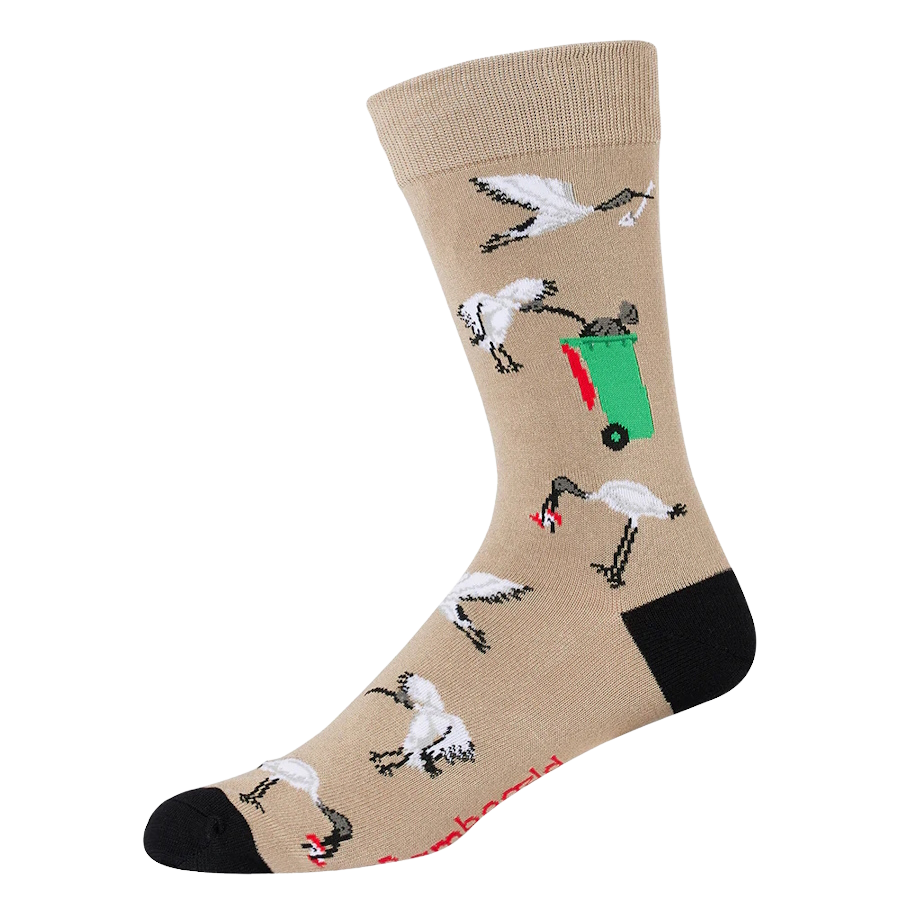 Ibis/Bin Chicken Socks - Men's