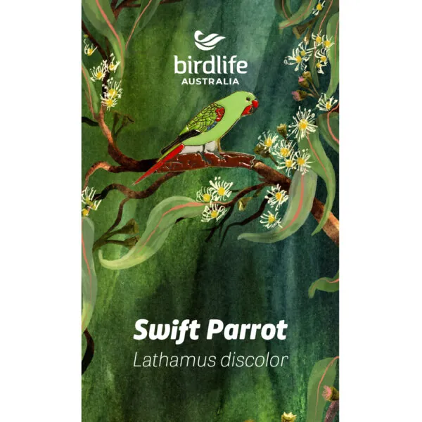 Swift Parrot Bird Pin
