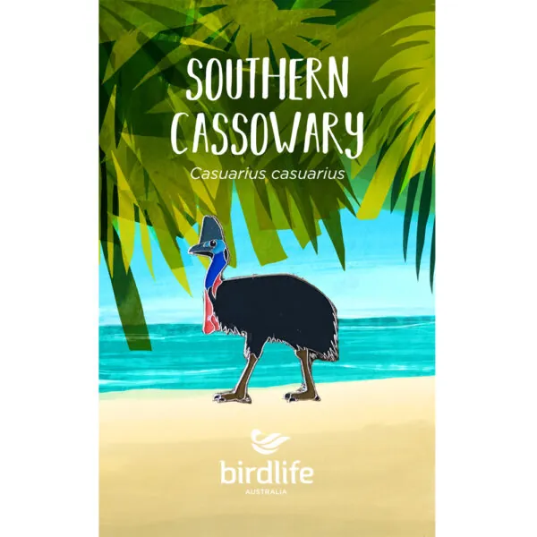 Southern Cassowary Bird Pin