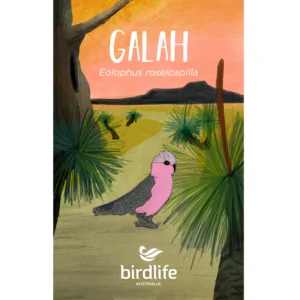 Galah Bird Pin