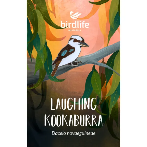 Laughing Kookaburra Bird Pin