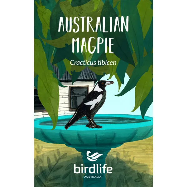 Australian Magpie Bird Pin