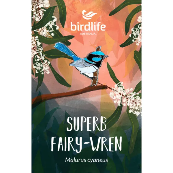 Superb Fairy-wren Bird Pin