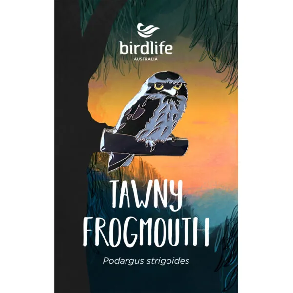 Tawny Frogmouth Bird Pin