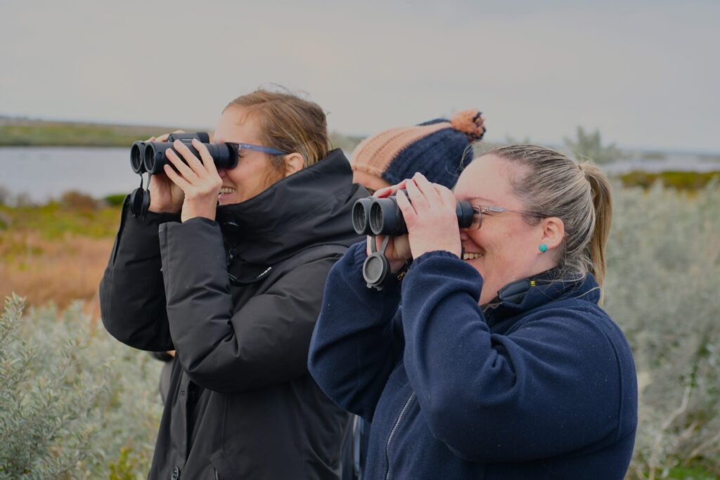 Three BirdLife staff members looking through binoculars at a wetland, searching for Orange-bellied Parrots 