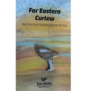 Far Eastern Curlew Bird Pin