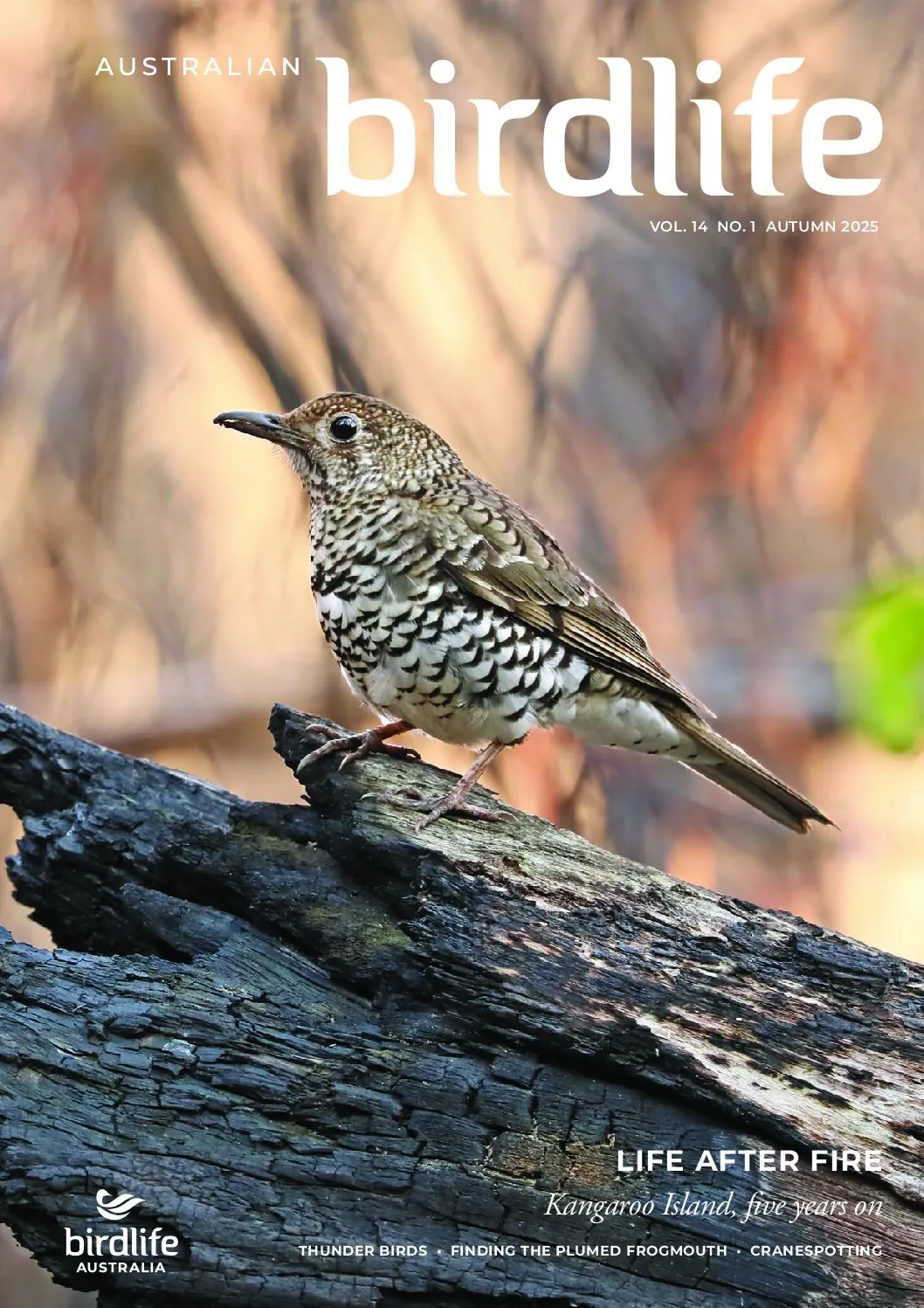 Australian Birdlife Magazine Autumn 2025