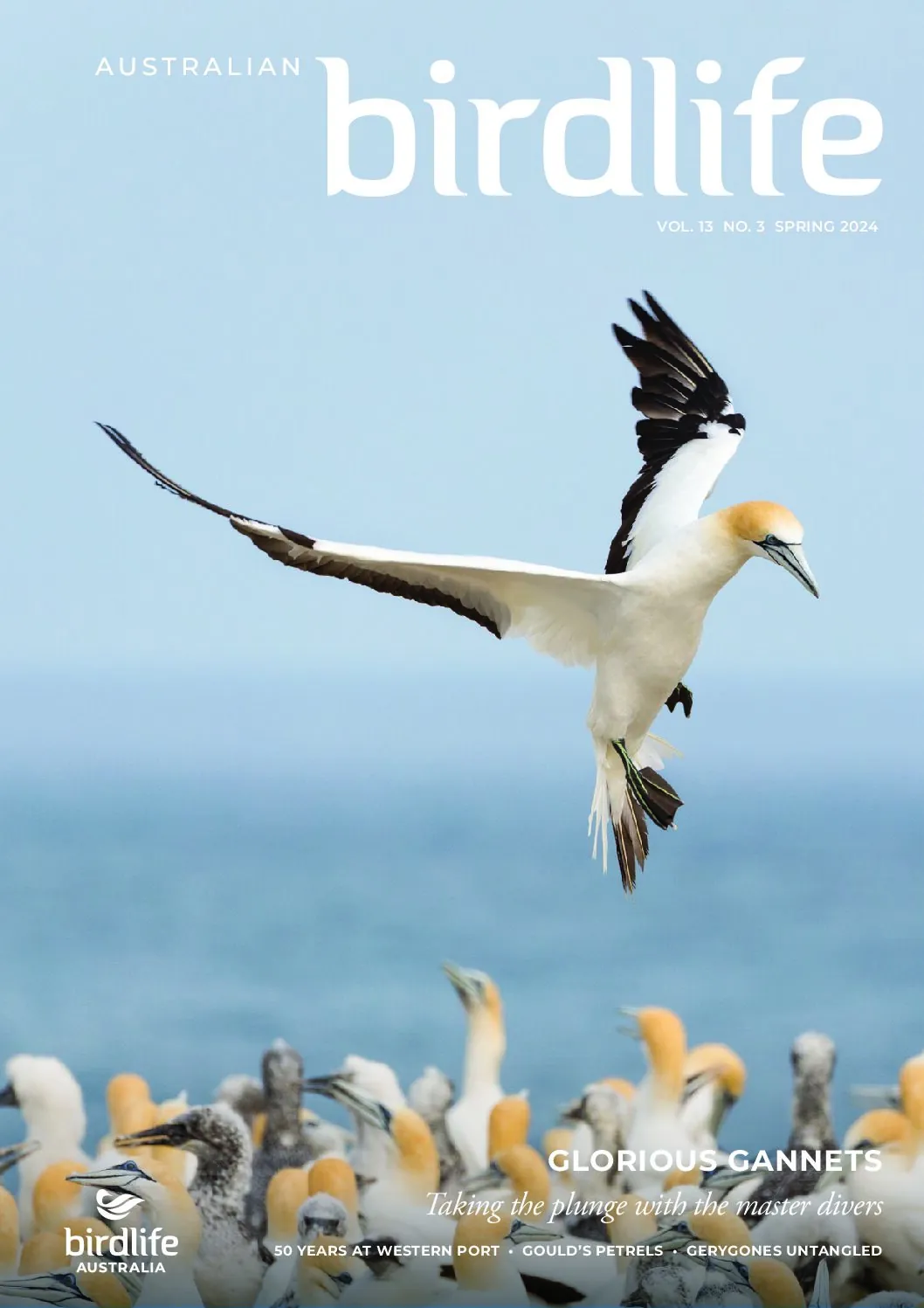 Australian Birdlife Magazine Spring 2024