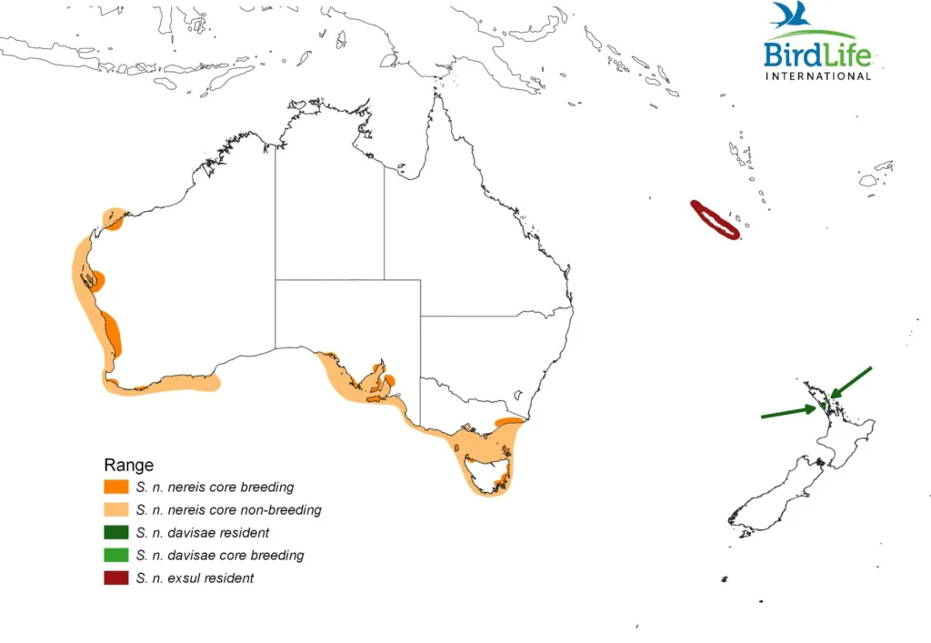Fairy Tern distribution map