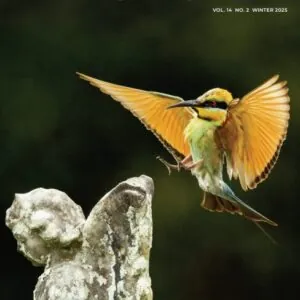 Australian Birdlife Magazine Winter 2025