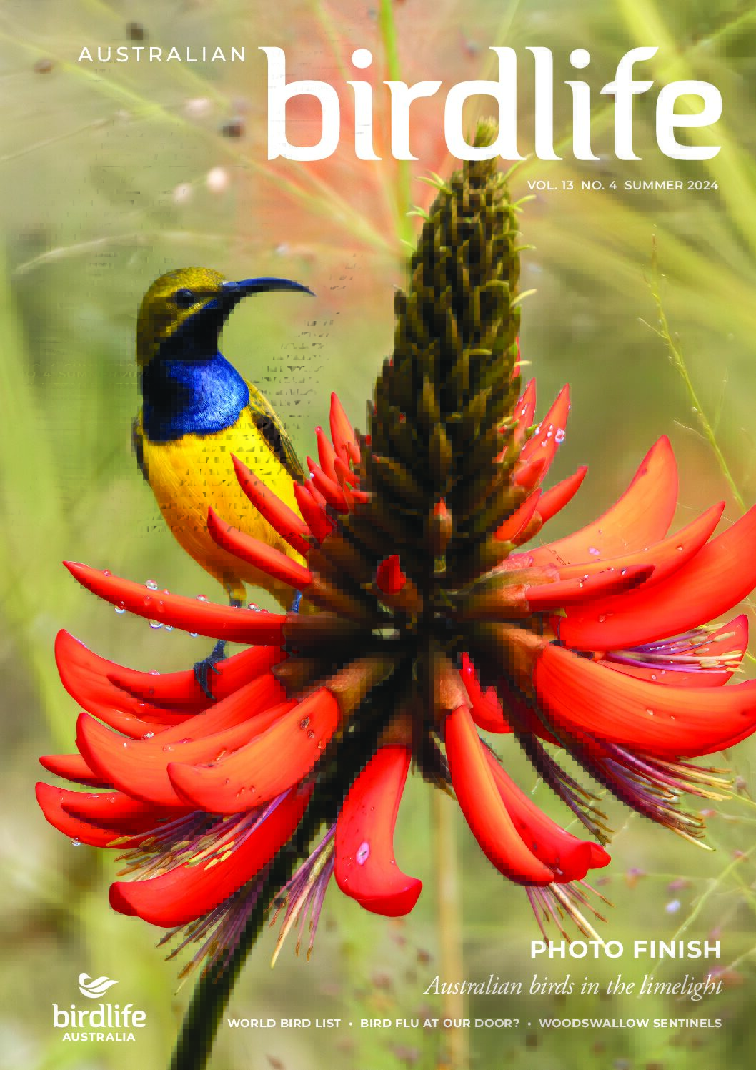 Australian Birdlife Magazine Summer 2024