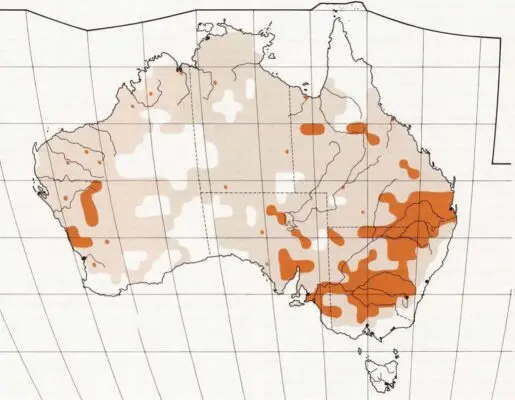 Illustrated map of Australia showing Cockatiel distribution
