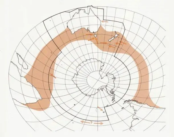 Illustrated map of Australia showing Shy Albatross distribution