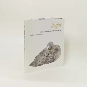 Flight