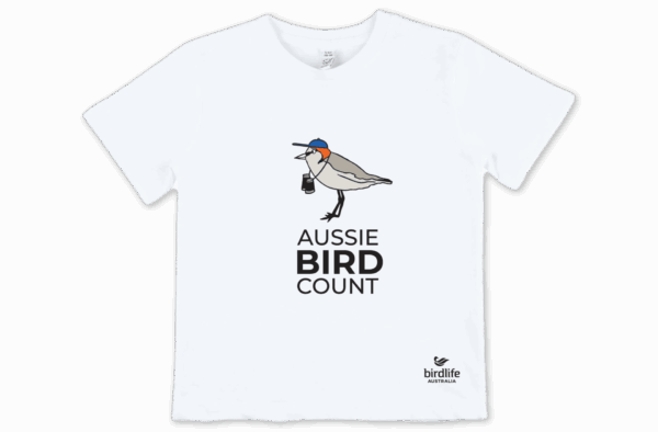 Red-capped Plover Kids T-Shirt by Angharad Neal-Williams