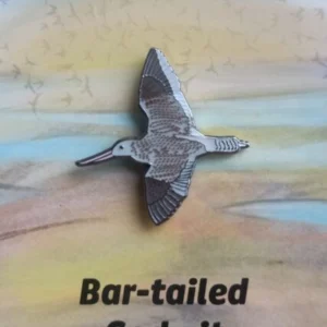 Bar-tailed Godwit Bird Pin