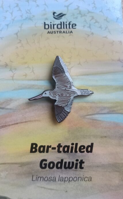 Bar-tailed Godwit Bird Pin