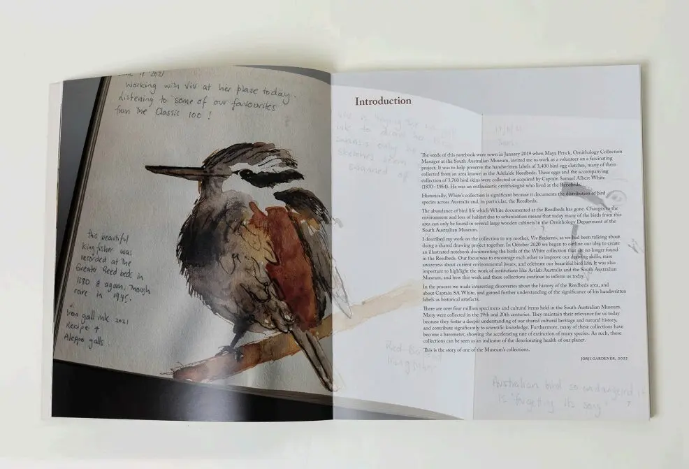 Flight - Image 2