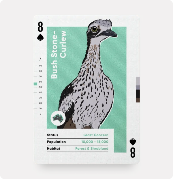 Birds of Australia - Playing Cards - Image 5