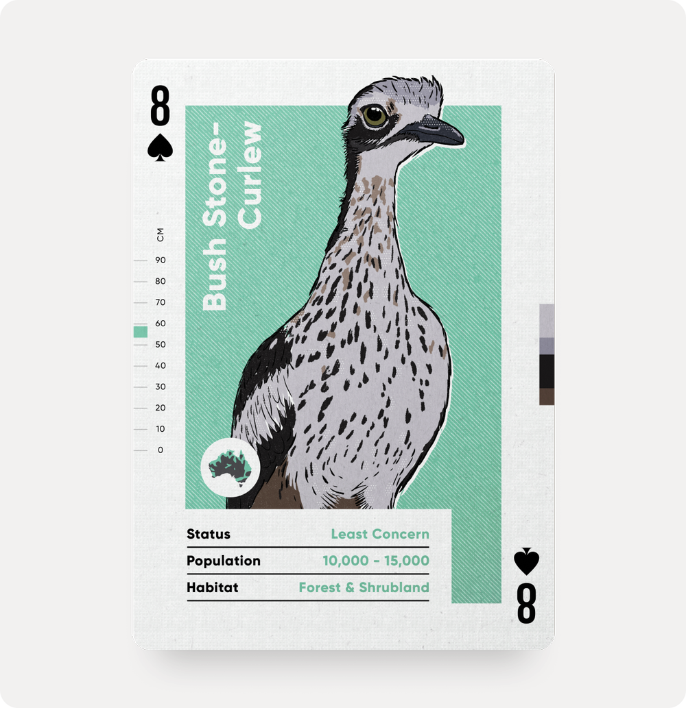 Birds of Australia - Playing Cards - Image 5