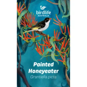 Painted Honeyeater Bird Pin