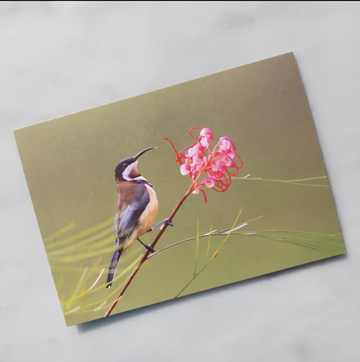 Season Tweetings Blank Cards