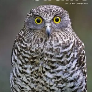 Australian BirdLife Spring 2025 Magazine